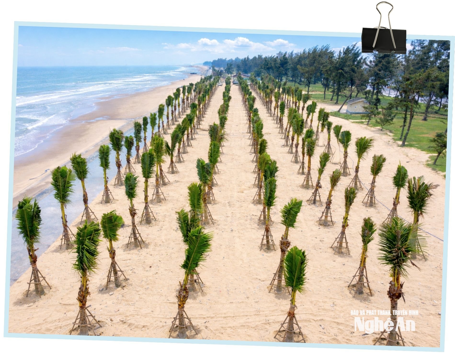 Dừa Cửa Lò Ảnh AQuang An 2