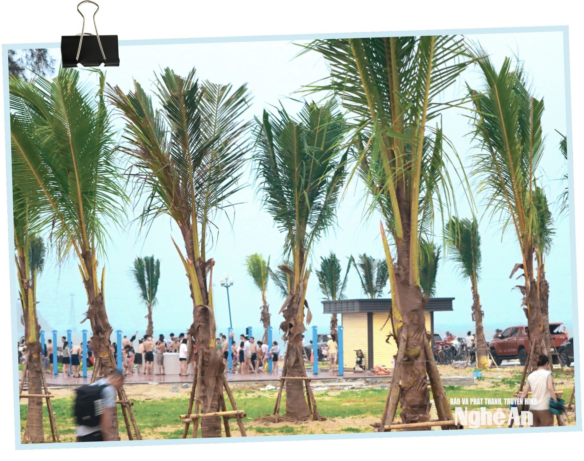 Dừa Cửa Lò Ảnh Diêp Thanh4