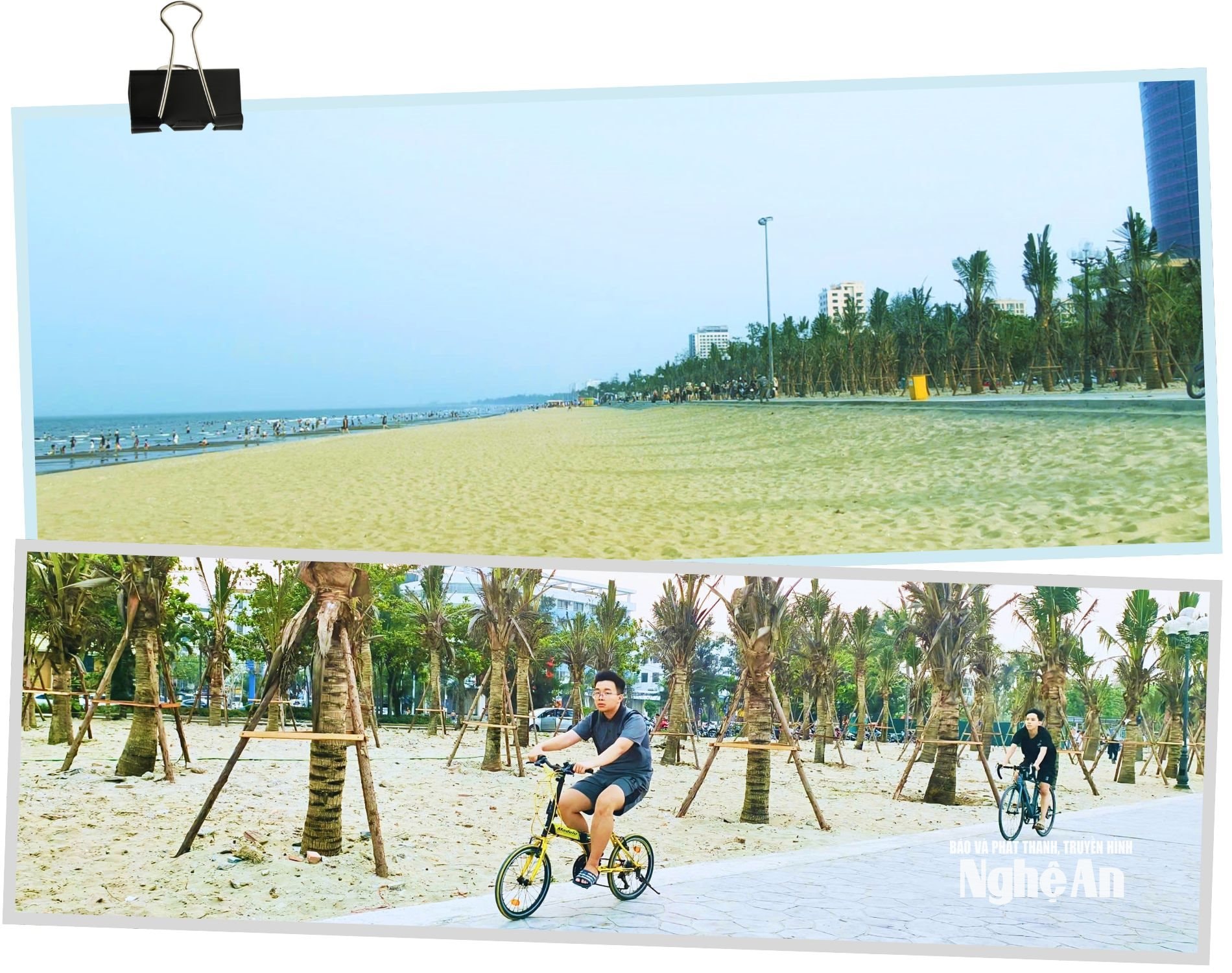 Dừa Cửa Lò Ảnh Diêp Thanh7