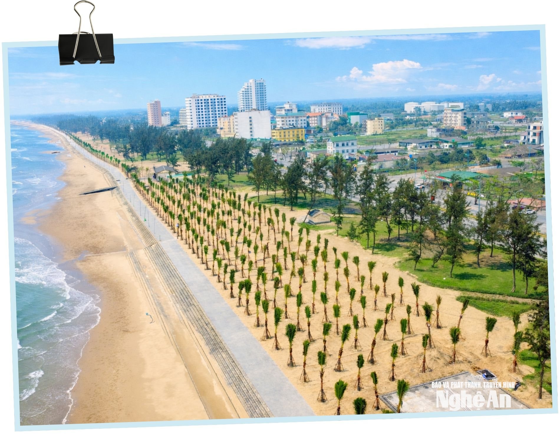Dừa Cửa Lò Ảnh Quang An