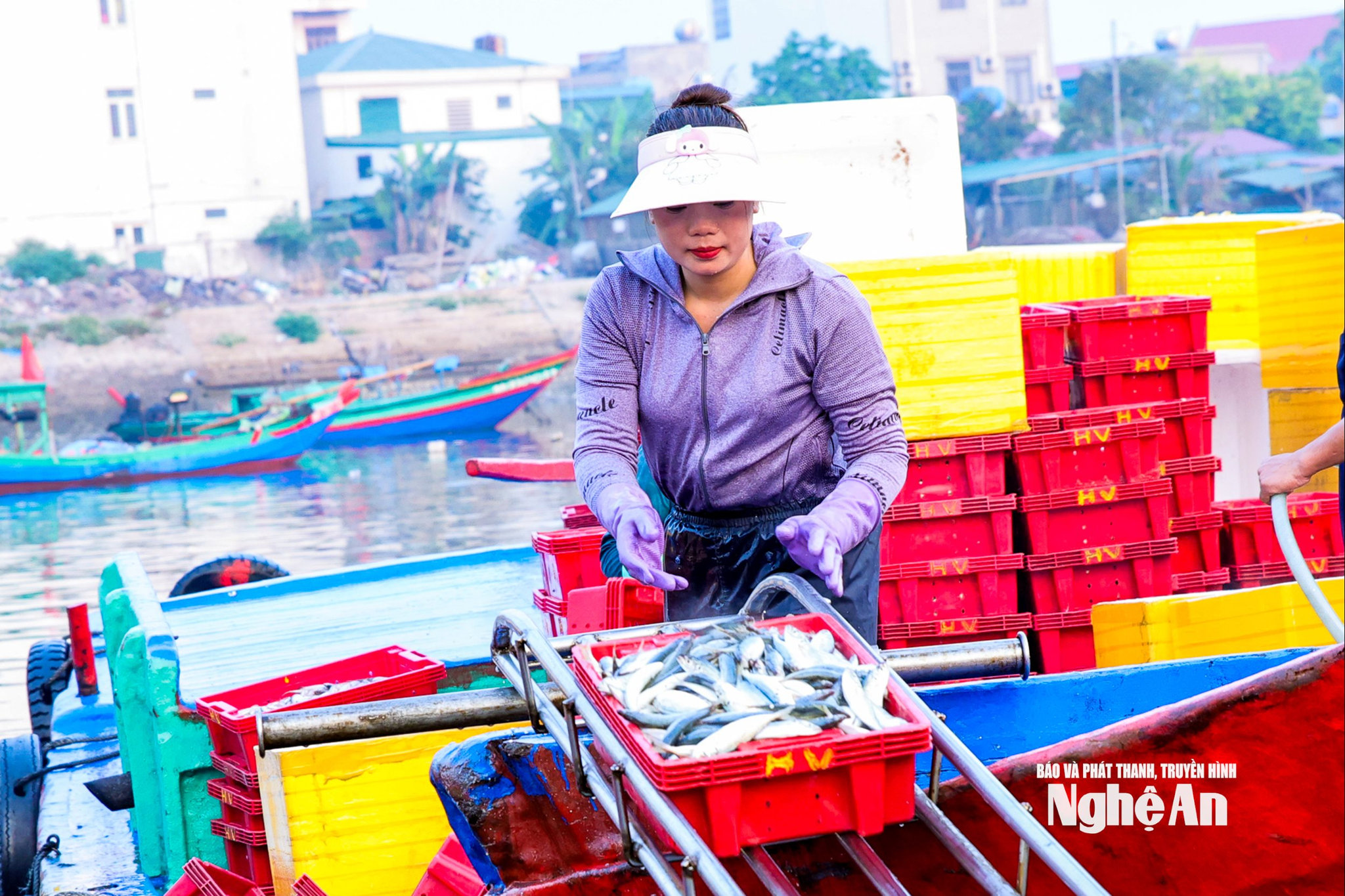 Nét đẹp lao động của ngư dân vùng biển Cửa Lò. Ảnh Thanh Quỳnh