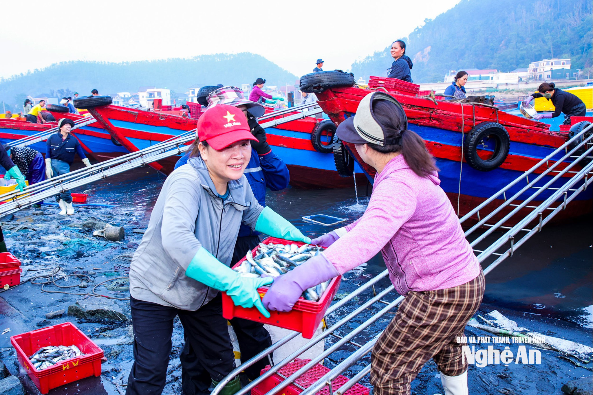 Nét đẹp lao động của ngư dân vùng biển Cửa Lò. Ảnh Thanh Quỳnh2