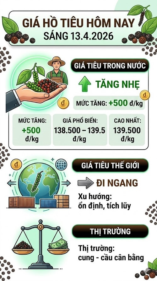 Giá hồ tiêu hôm nay 13.4