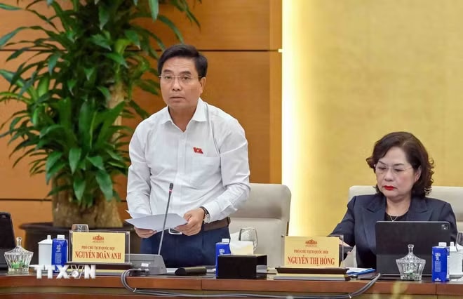 ttxvn-nguyen-doan-anh.jpg