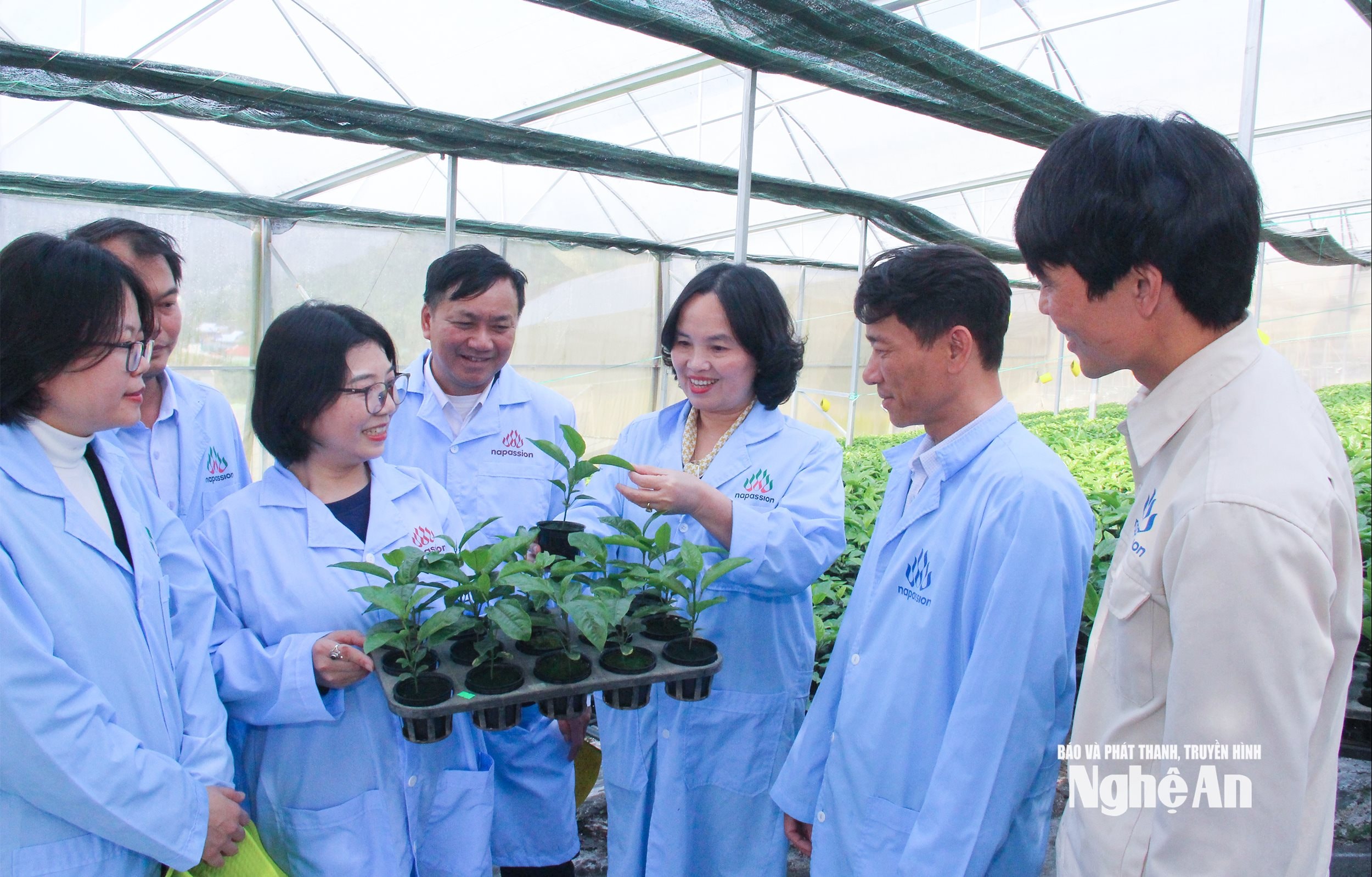 Lãnh đạo Sở Nông nghiệp và Môi trrường kiểm tra vườn ươm giống cây chanh leo tại xã Tri Lễ. Ảnh Mai Hoa