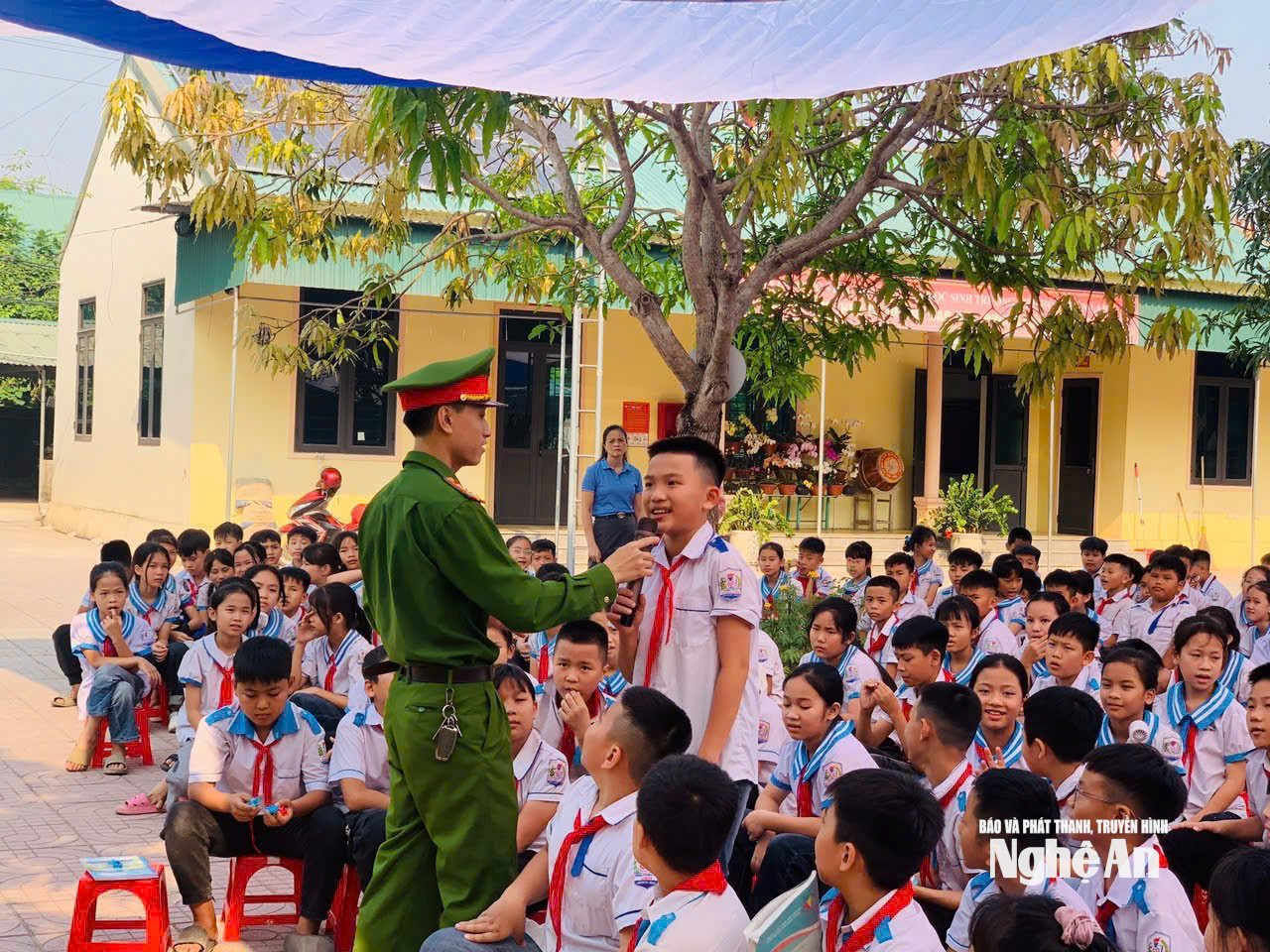 98.ảnh pv