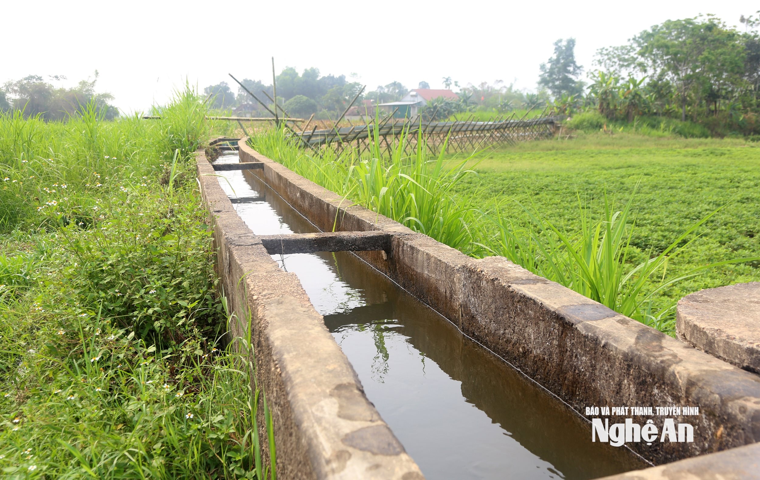 nước 2 (1)