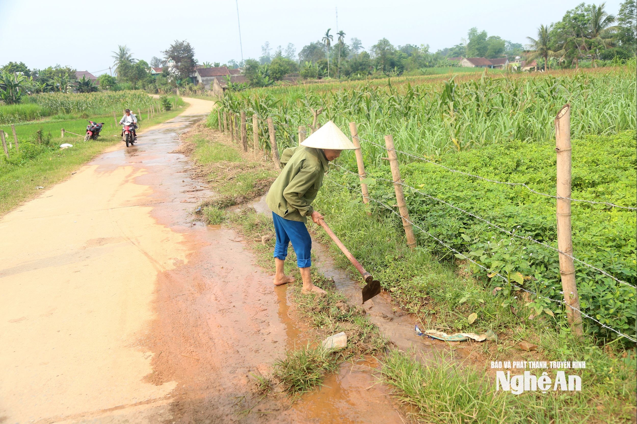 nước 6 (2)