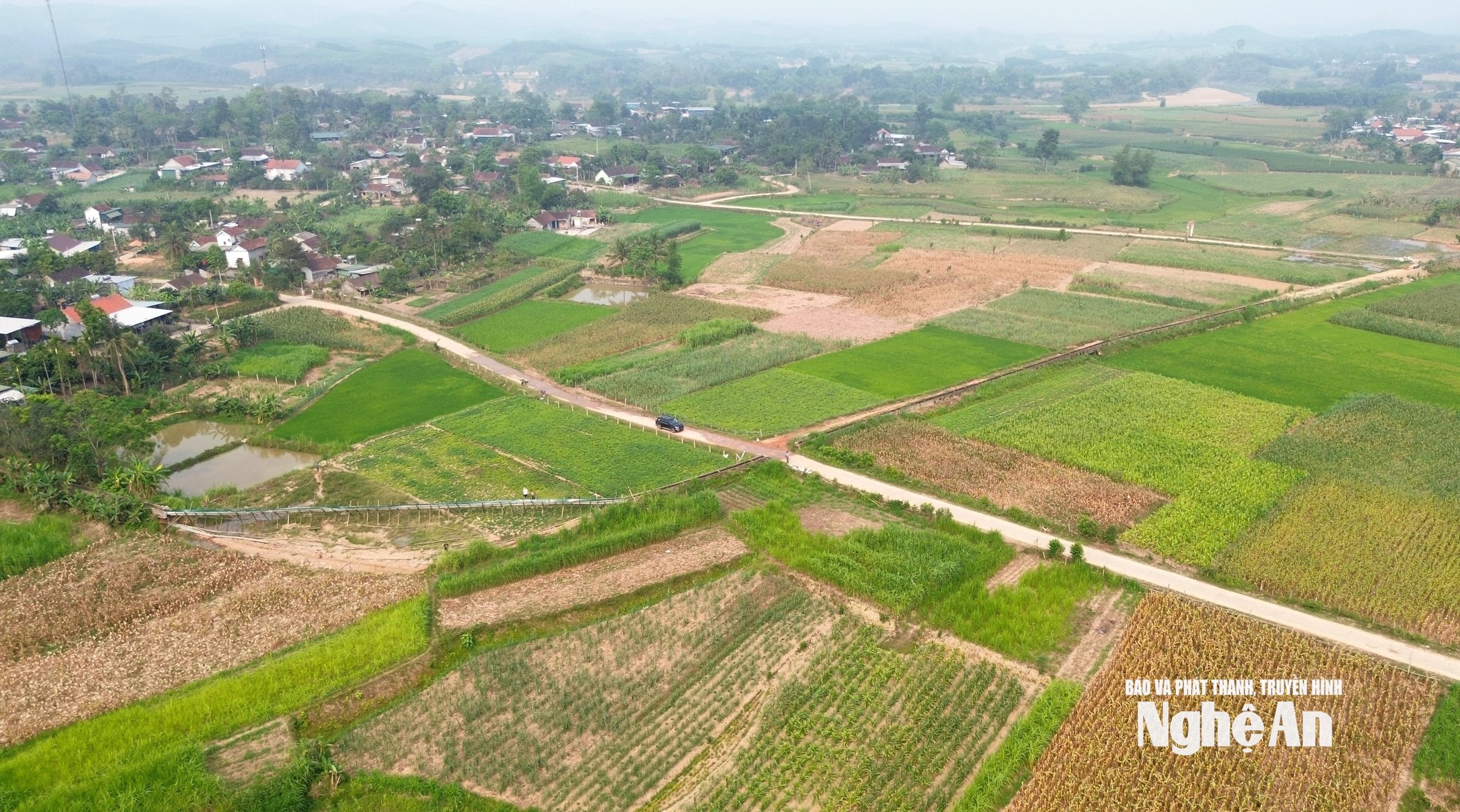 nước 8 (1)
