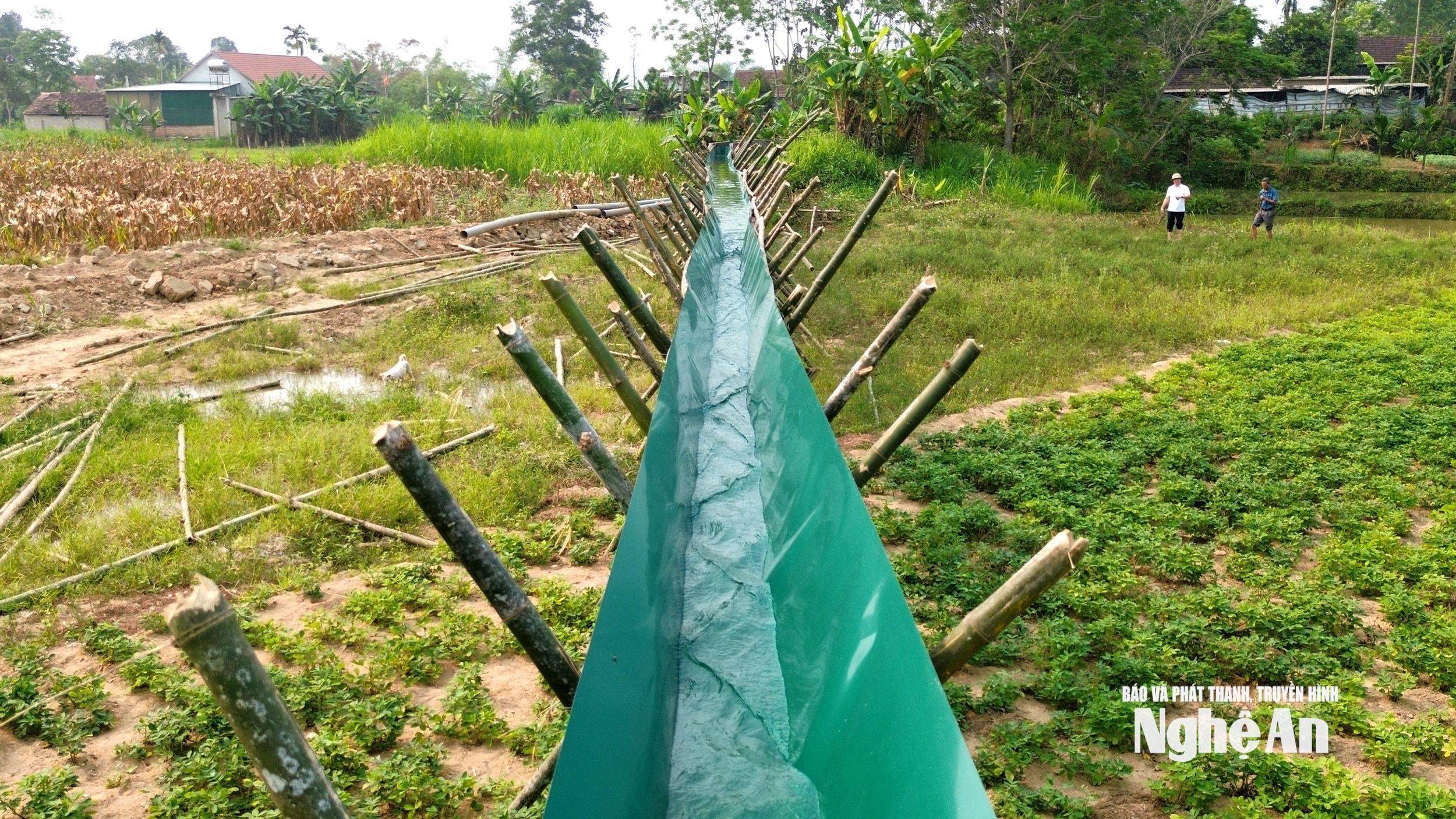 nước 8 (2)
