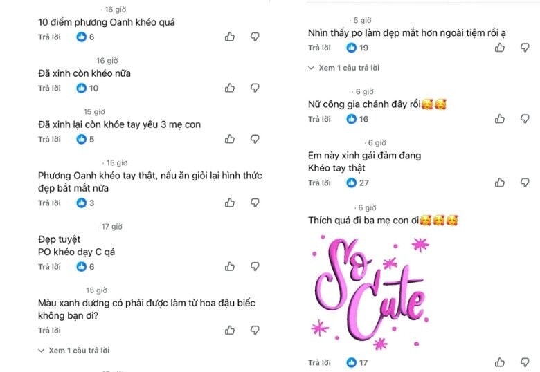 Nhiều khán giả để lại lời khen cho sự khéo léo của Phương Oanh.