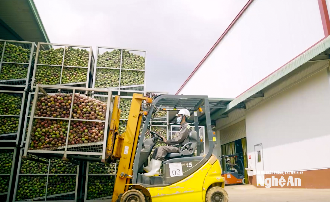 XNK 2026-03-12 lúc 15.22.04