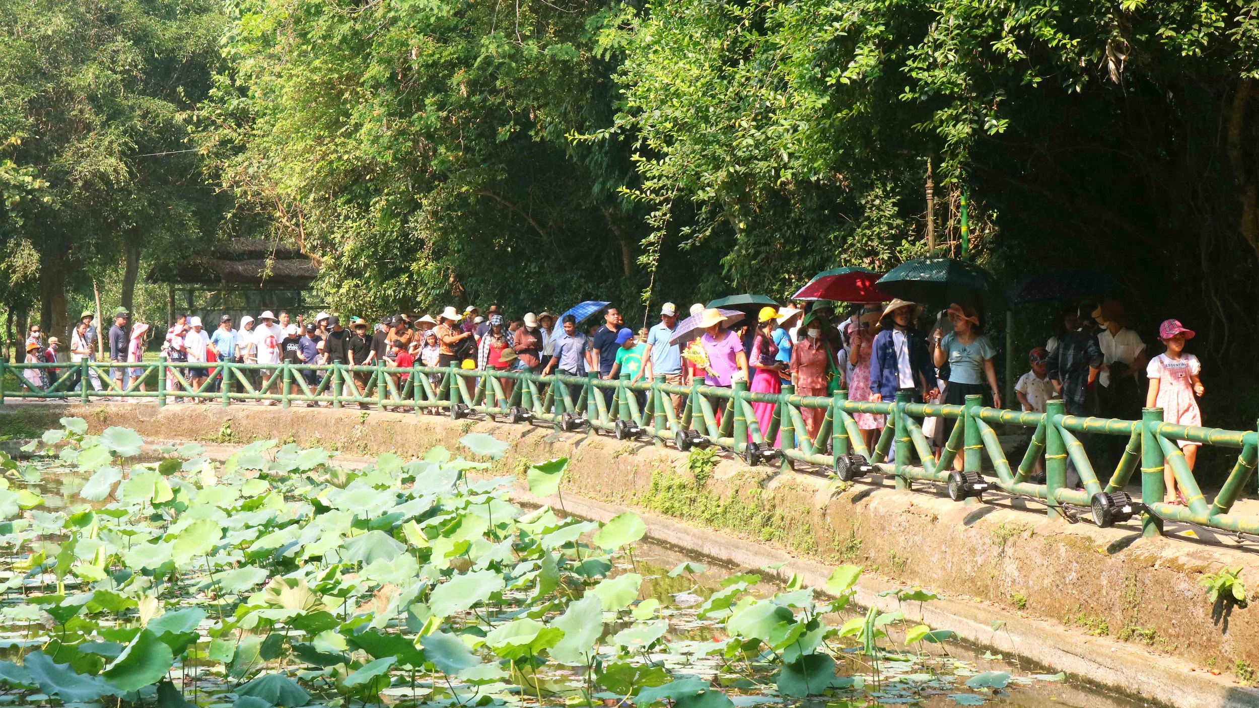 Du khách về với Làng Sen quê Bác.