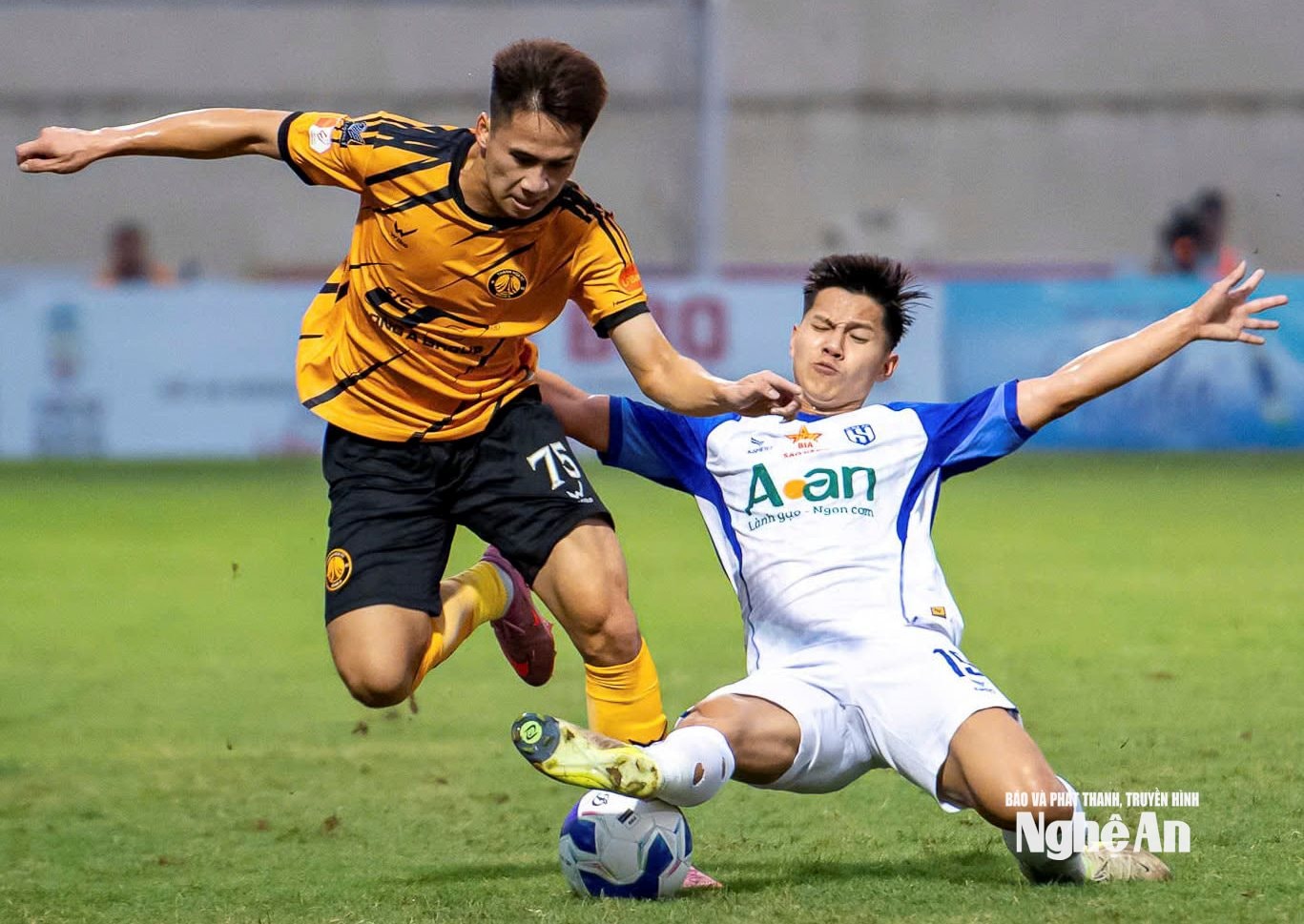 SLNA đang có được thành tích tương đối tốt tại V.League 2025/26. Ảnh: SLNA