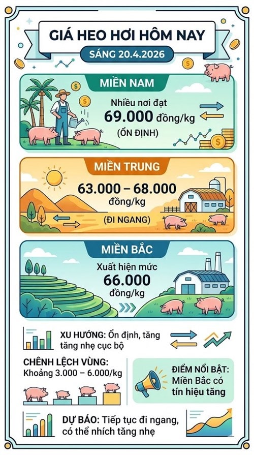 Giá heo hơi hôm nay 20.4: Tín hiệu tăng nhẹ tại miền Bắc