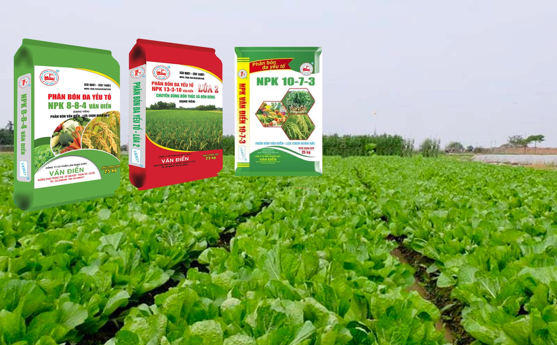 Giá phân bón hôm nay 22/4/2026: Ổn định trong nước