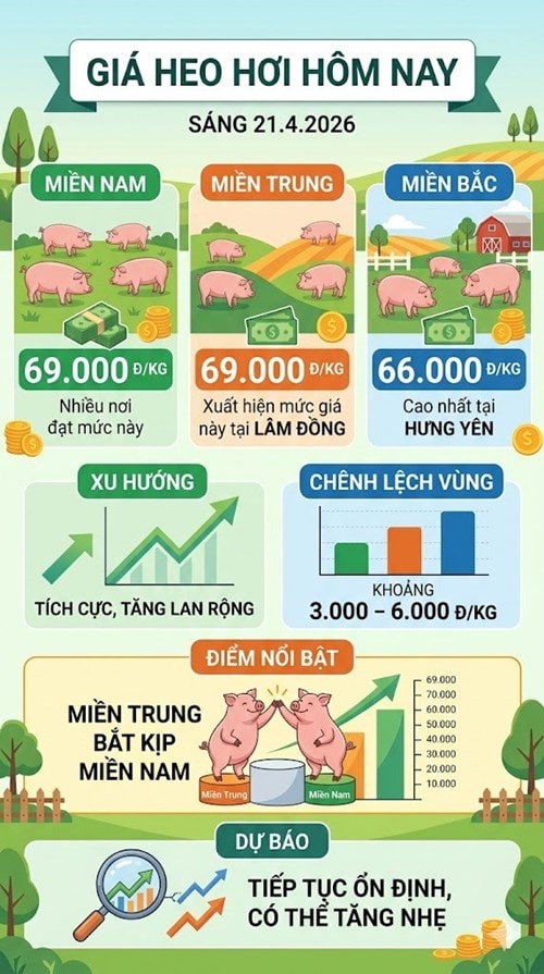 Giá heo hơi ngày 21/4 ghi nhận xu hướng tăng nhẹ tại miền Trung và ổn định tại các vùng khác