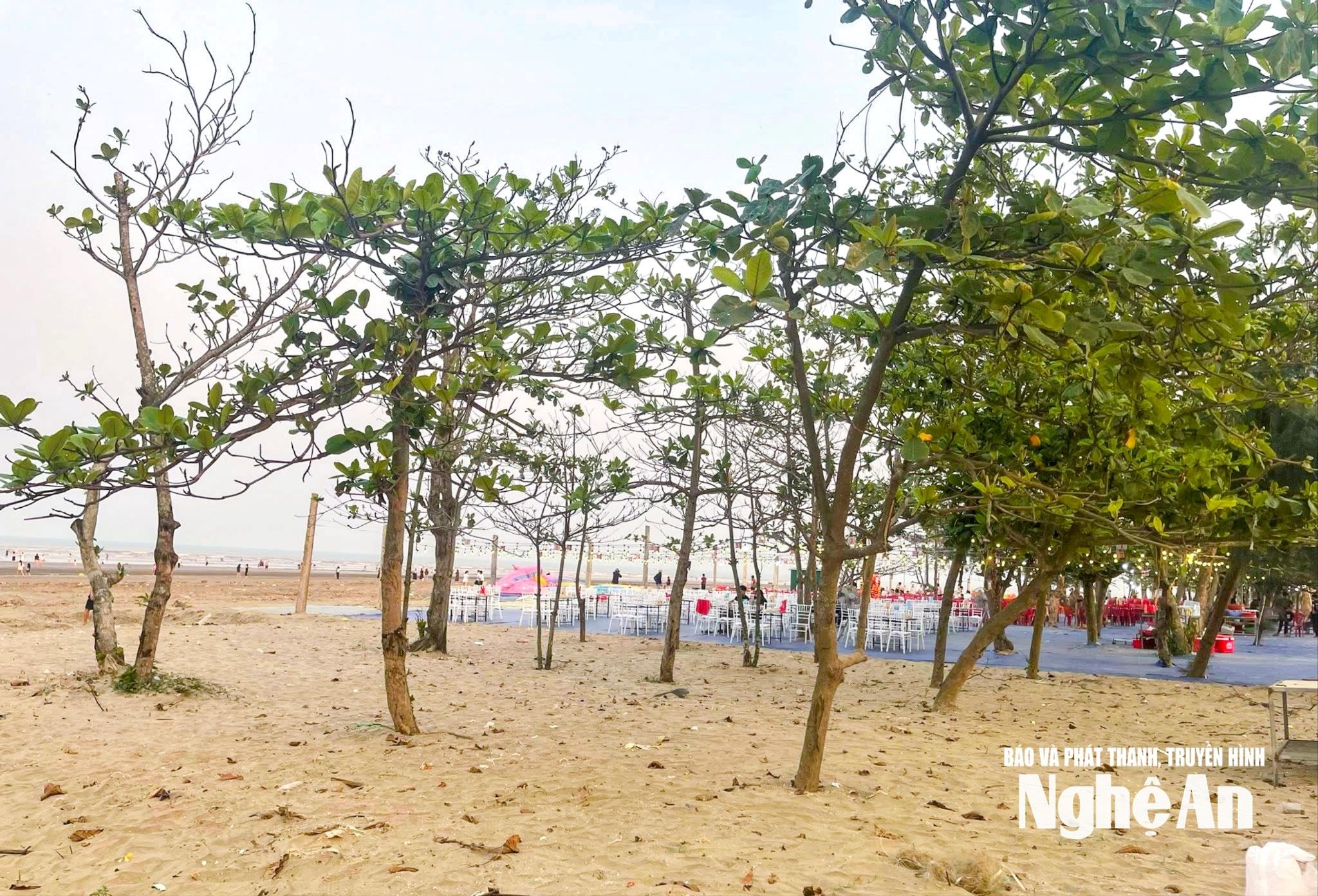La plage de Dien Thanh en avril.