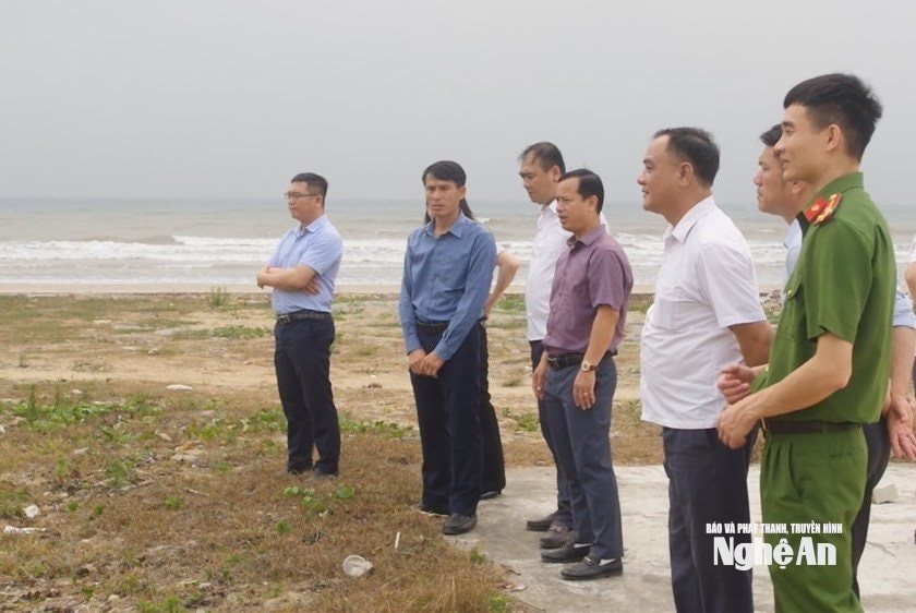 Hồng Diện