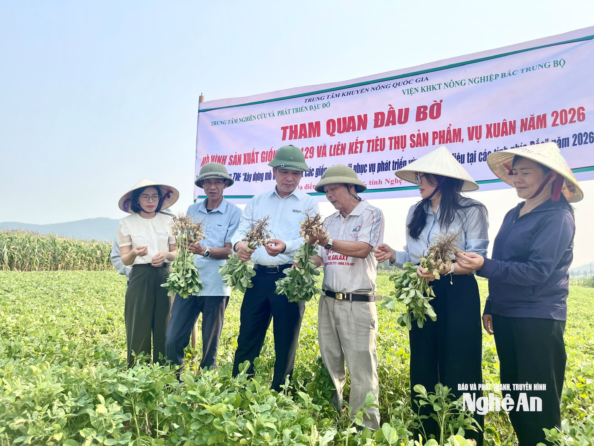 lạc 2 xã