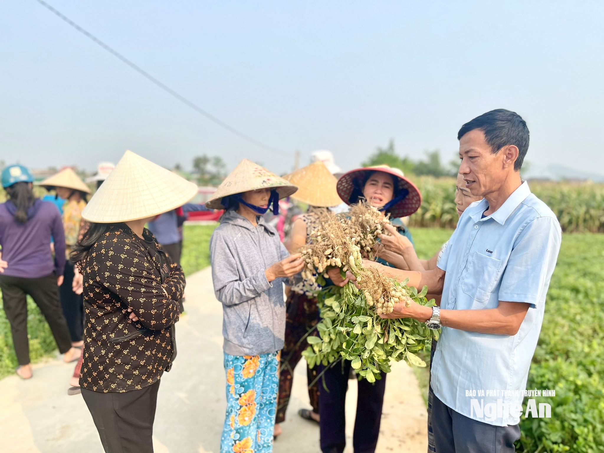 lạc 4 dân 2