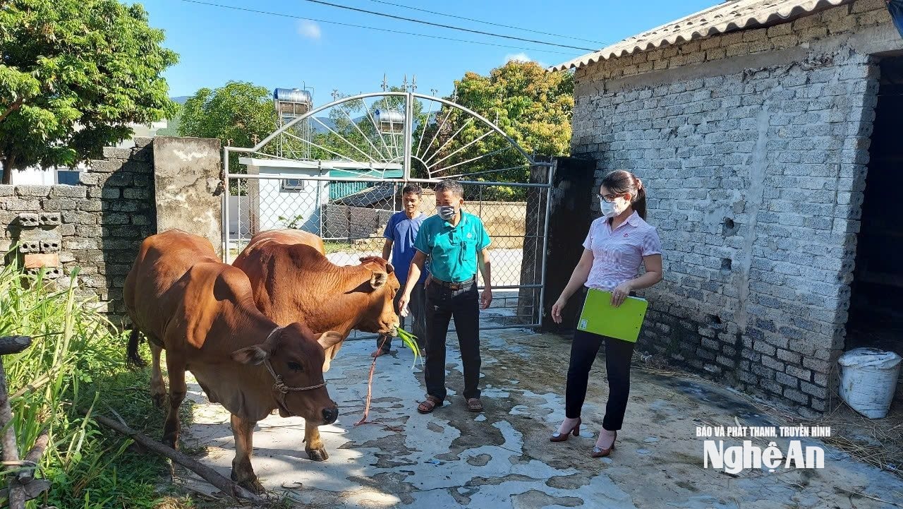 cán bộ tín dụng kiểm tra mô hình vay vốn ở Nghi Vạn, nghi Lộc