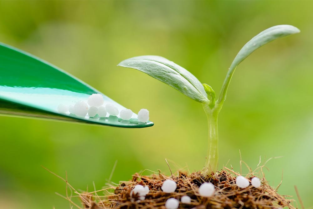Giá phân bón hôm nay 23/4/2026: Urê Cà Mau 675.000 đồng/bao