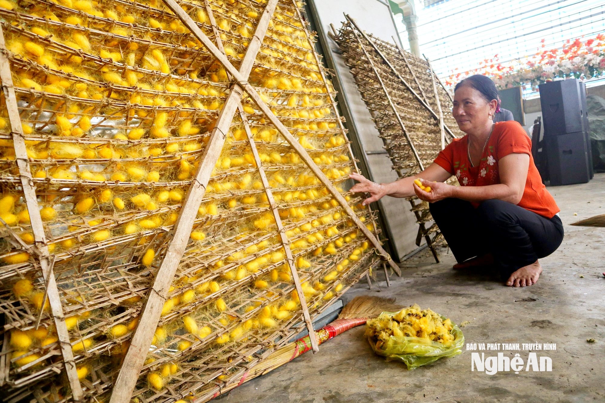 Nuôi tằm tự dệt ở xã Diễn Kim phát triển mạnh, đây cũng là nơi cung cấp nguyên liệu đầu vào cho công ty của ông Nguyễn Kim Lung2