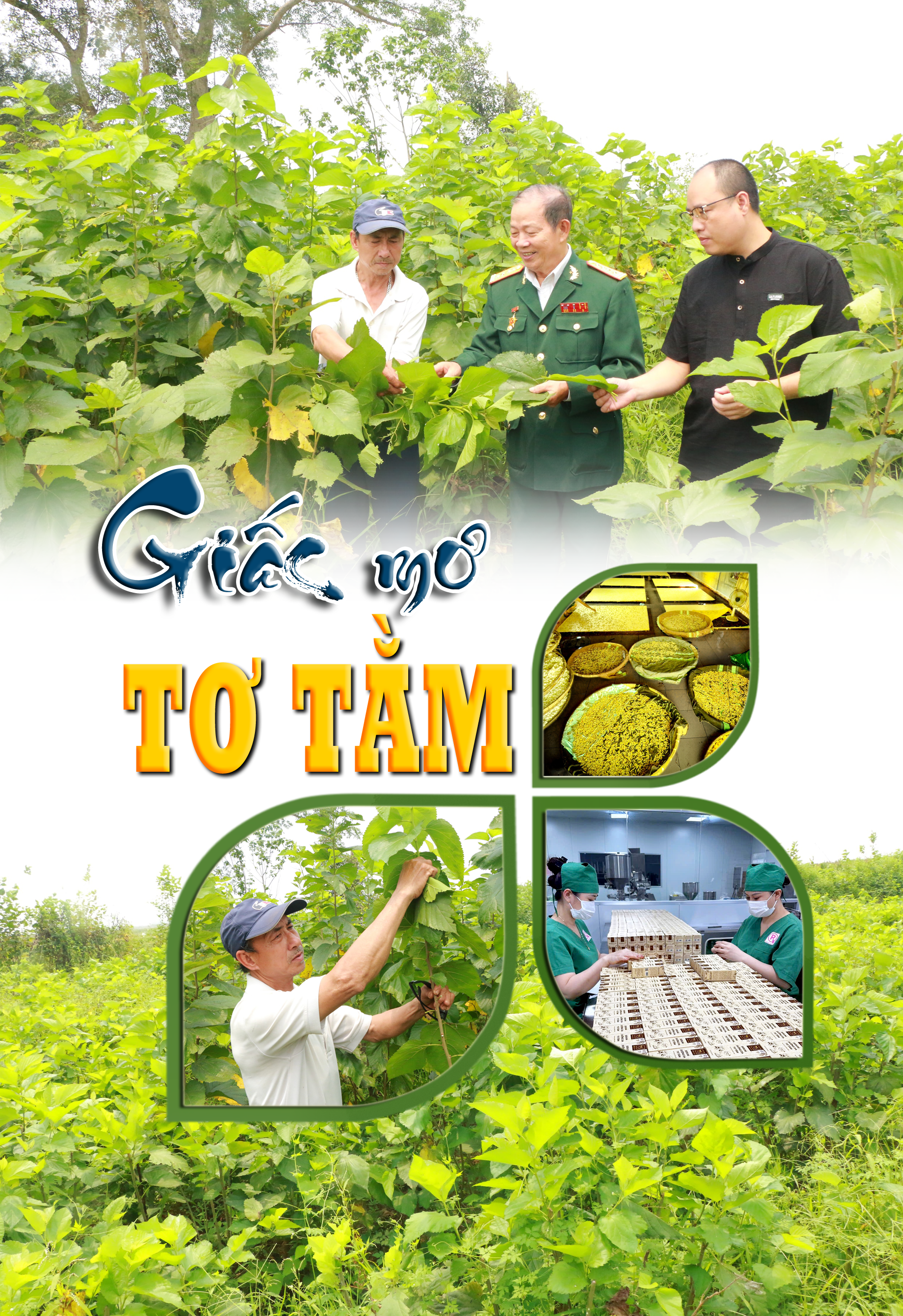 cover-tieude.png