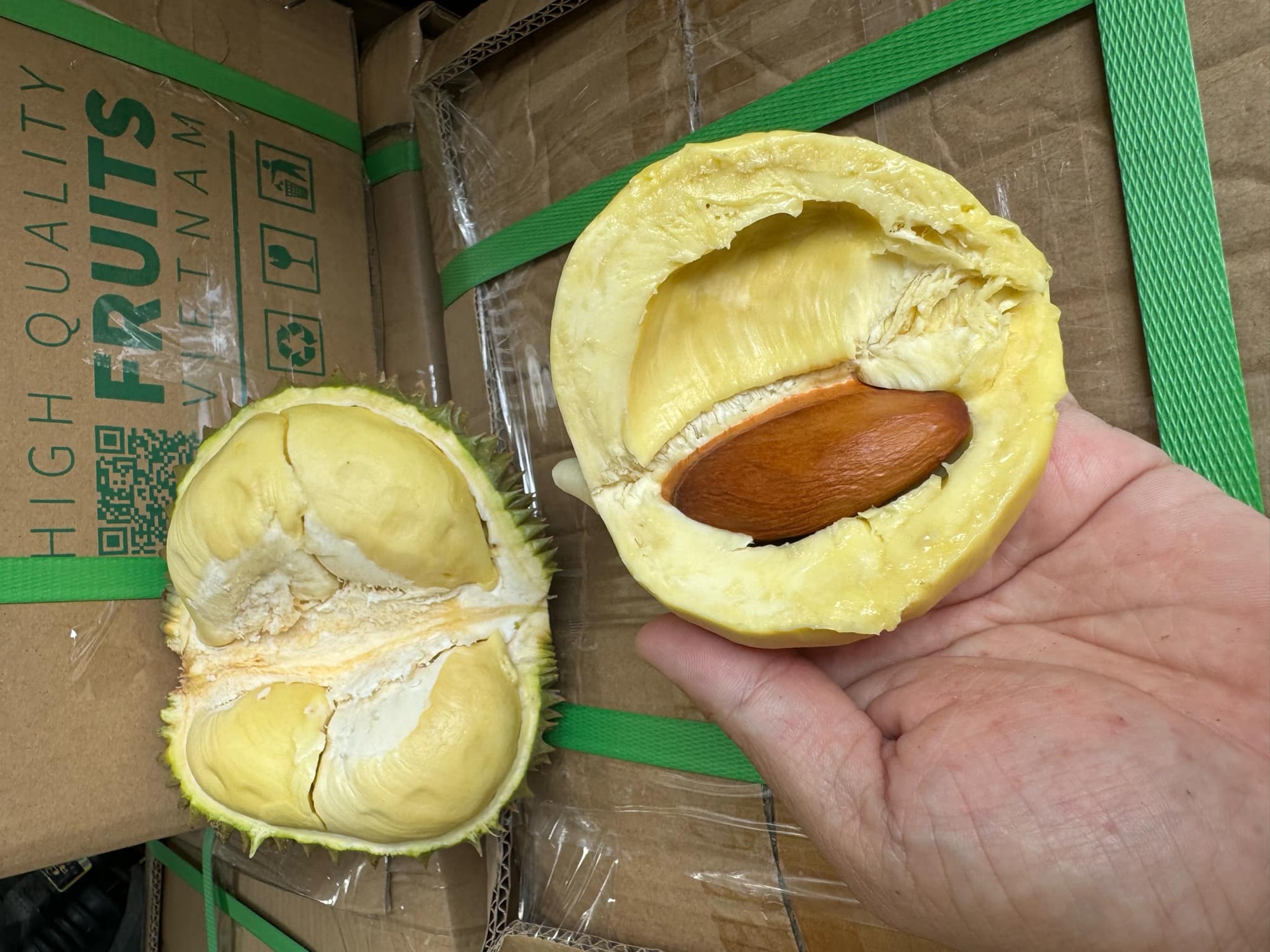 Giá sầu riêng hôm nay 28/4: Cao nhất 145.000 đồng/kg