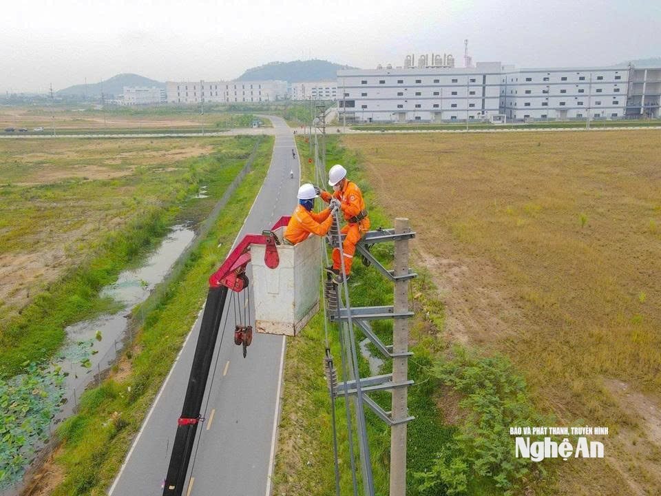 Công ty điện lực 1