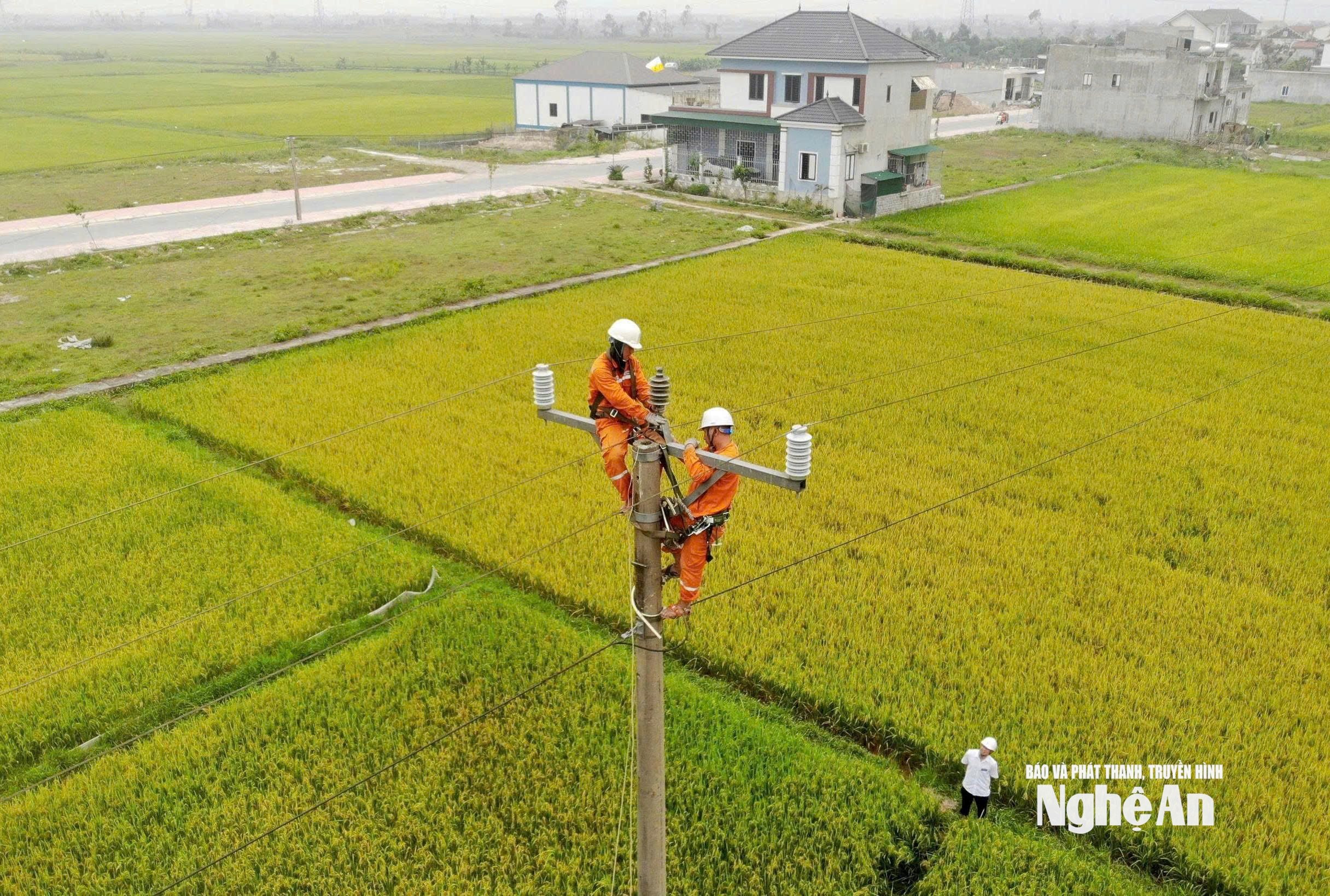 Công ty điện lực 2