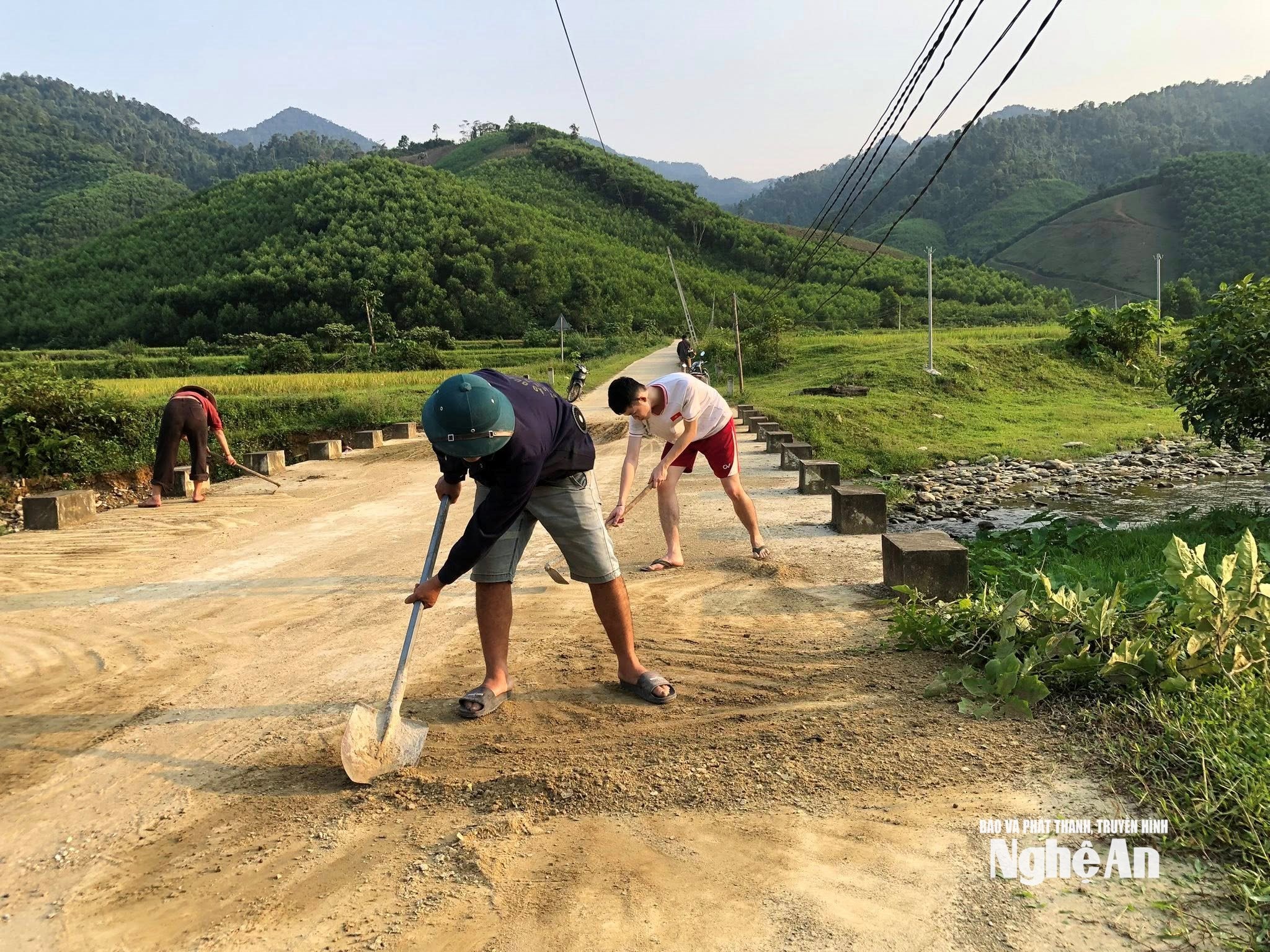dọn vs