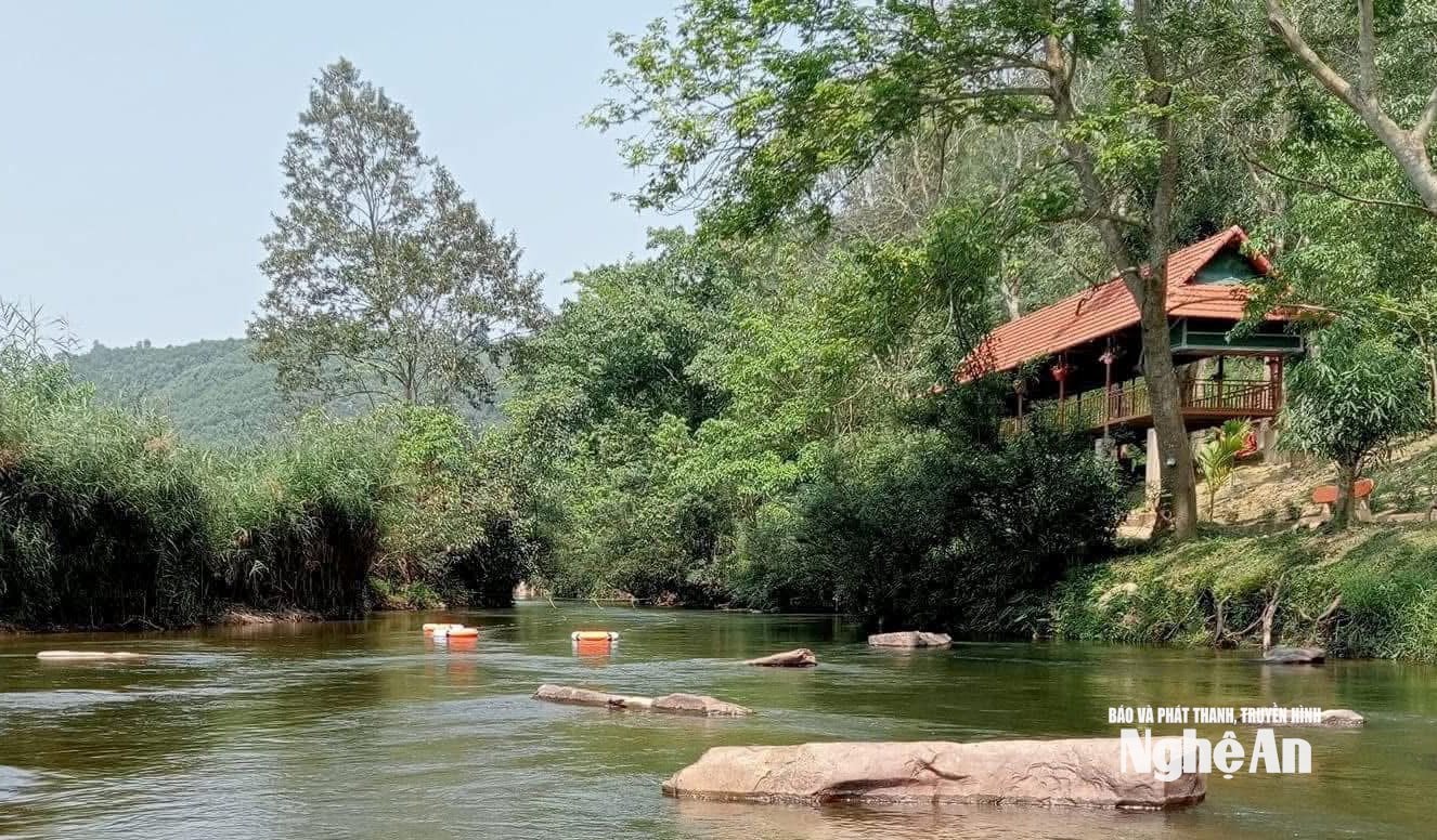 Bản vều