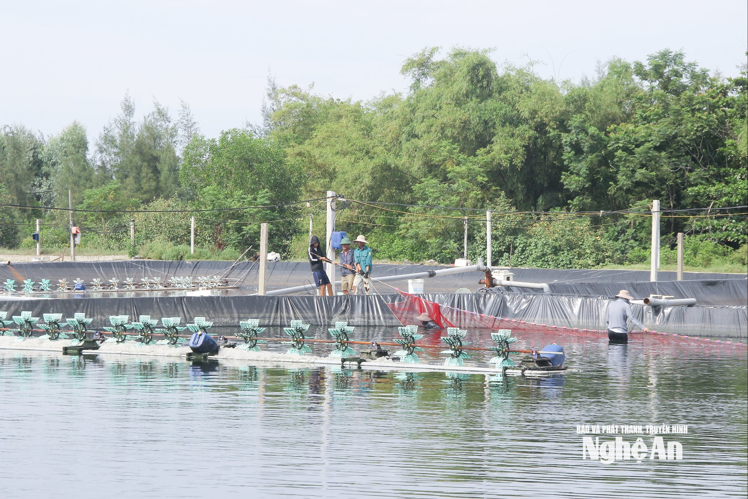Mô hình nuôi tôm tại xã An Châu