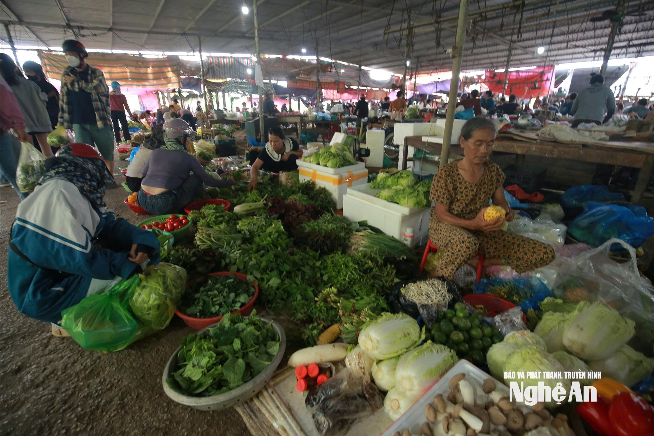 Rau, củ quả tại các chợ dân sinh khá dồi dào, giá cả ổn định. Ảnh: T.P
