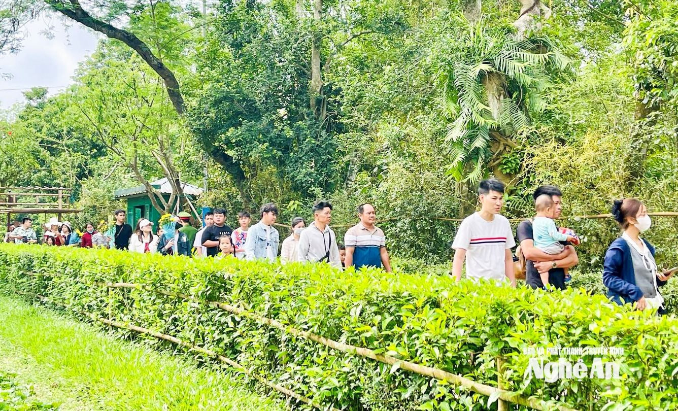 du-khach-tham-quan-khu-di-tich-quoc-gia-dac-biet-kim-lien(1).jpg