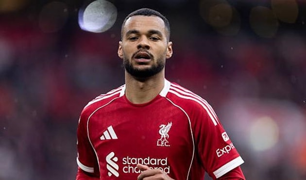 Cody Gakpo là niềm hy vọng của Liverpool.