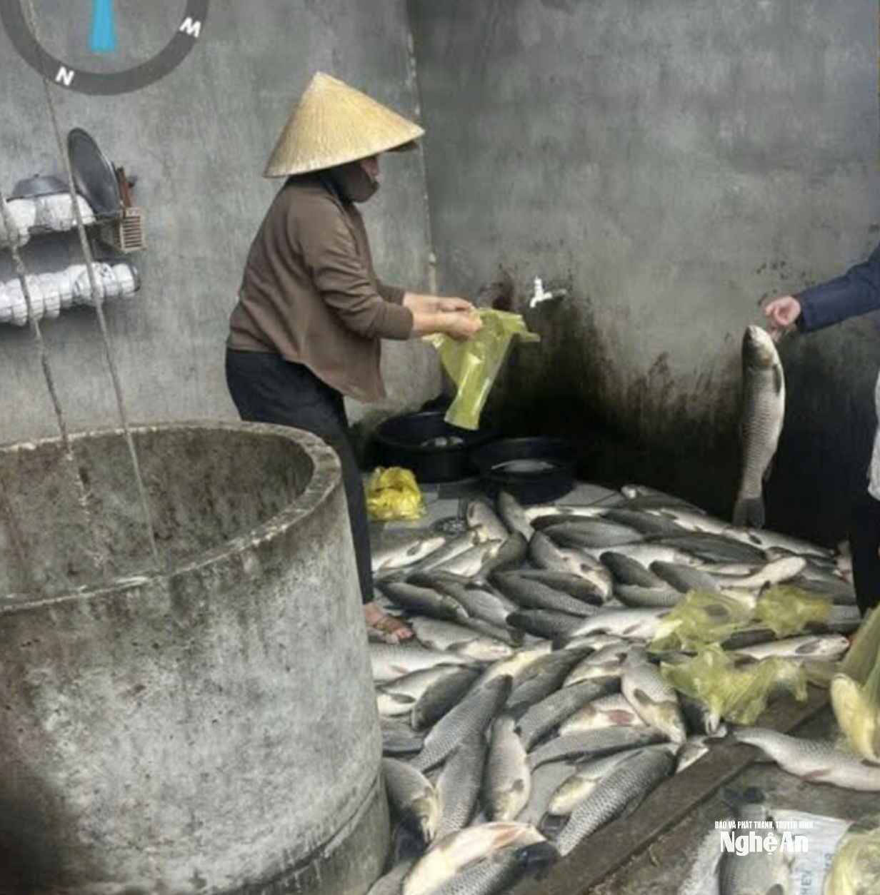 Người dân xã Anh Sơn hỗ trợ tiêu thụ số cá vừa được vớt từ lồng bè và sông. Ảnh: CSCC