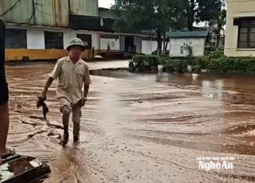 Mật chảy ra khối lượng nhiều khắp khuôn viên. Ảnh: P.V