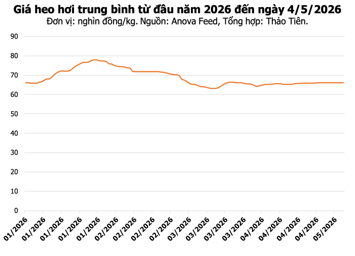 Mô hình chăn nuôi heo an toàn sinh học tại Thừa Thiên Huế