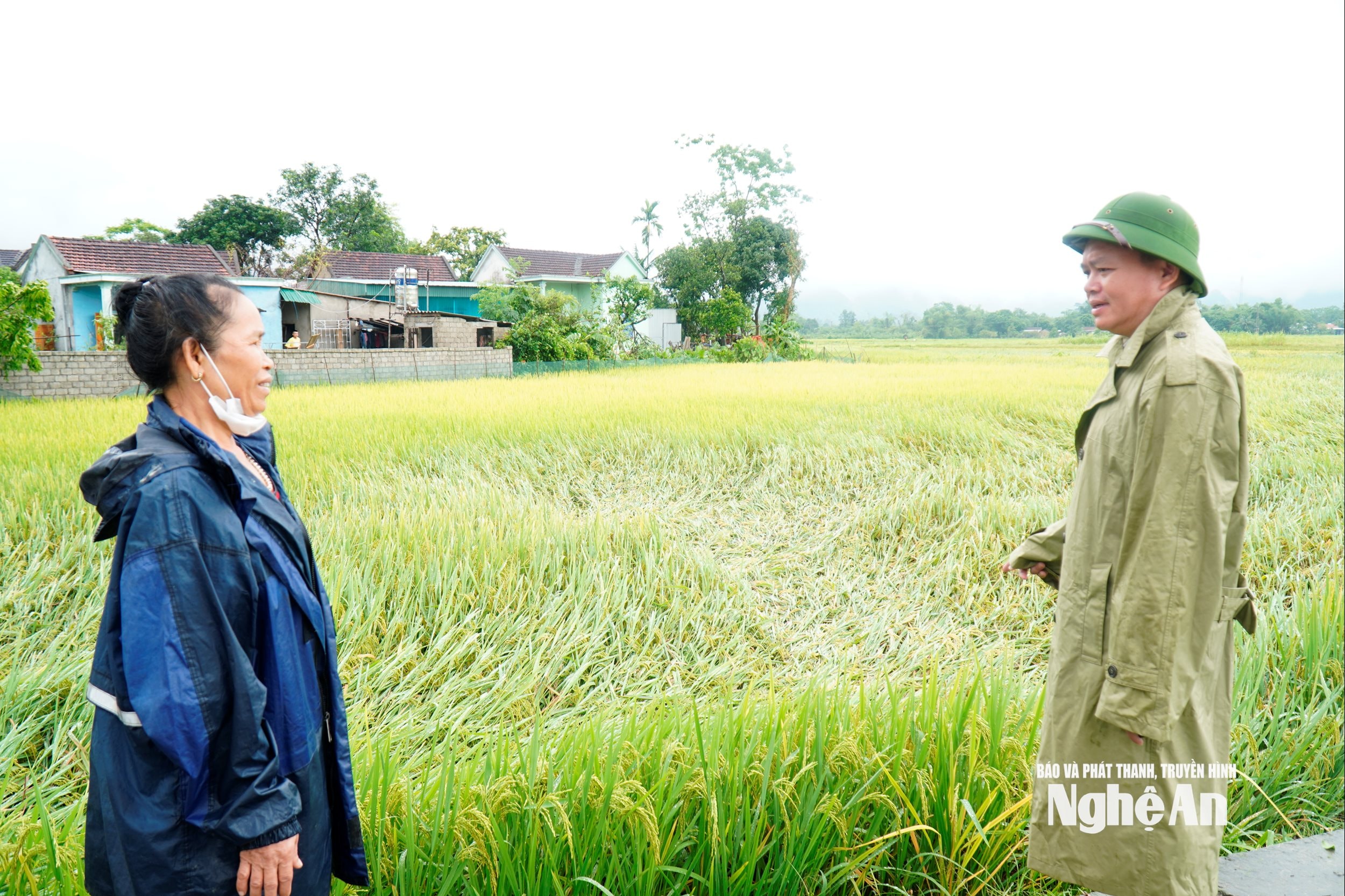 Lãnh đạo địa phương nắm tình hình sản xuất của hộ dân