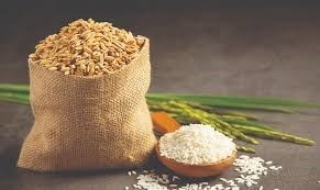 Thị trường lúa gạo tại Đồng bằng sông Cửu Long ghi nhận biến động trái chiều giữa lúa và gạo nguyên liệu.