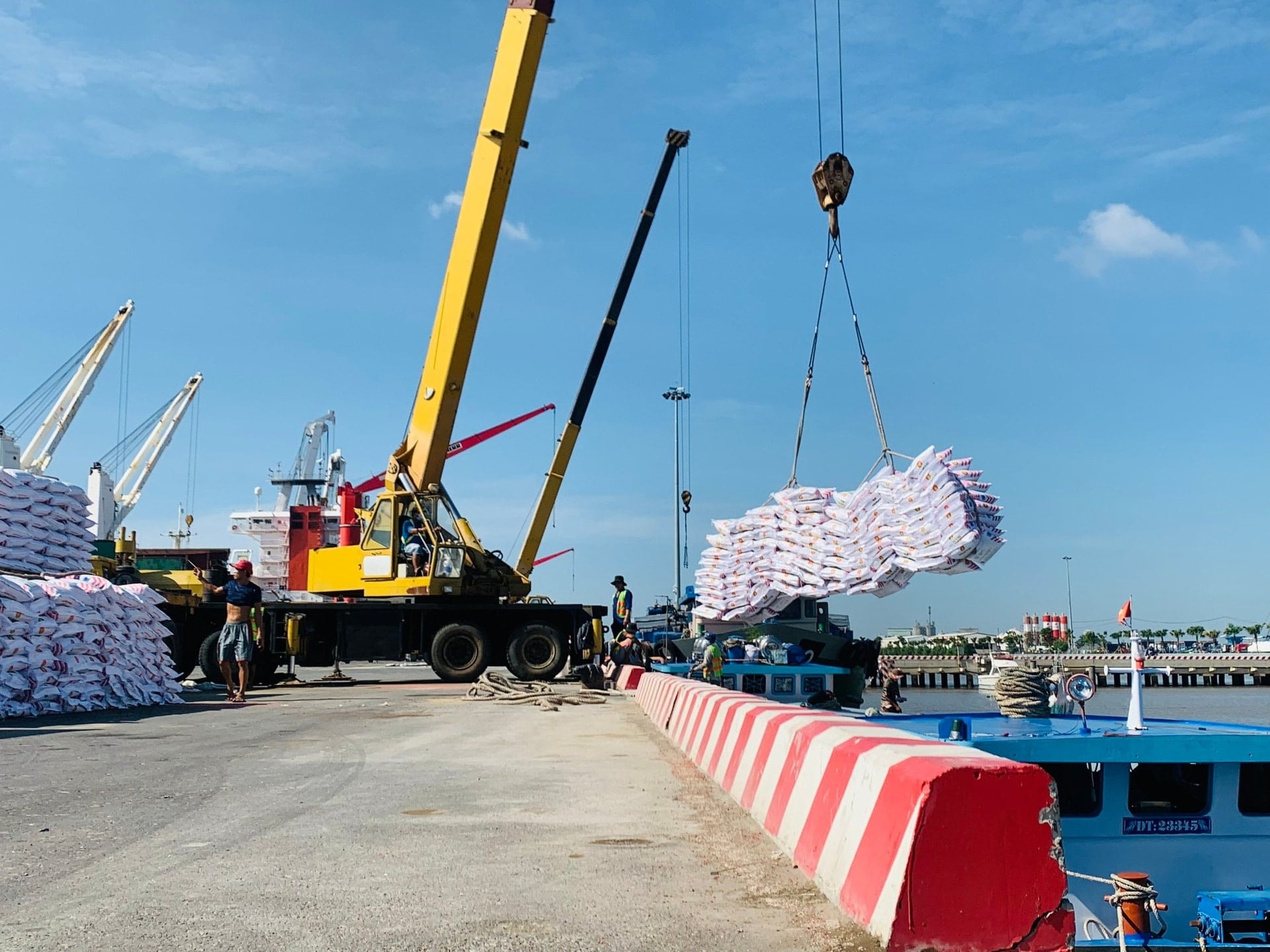 Giá phân bón hôm nay 5/5/2026: Đồng loạt ổn định