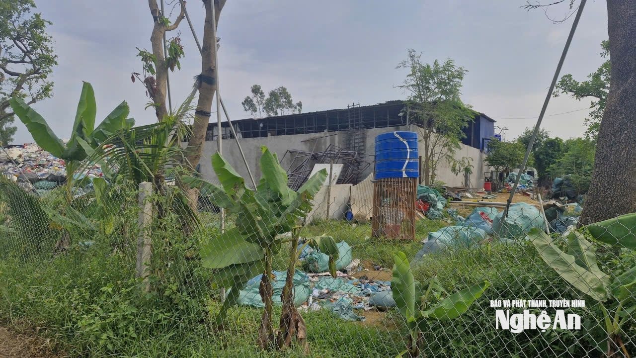 Ngoài tập kết phế liệu, tại khu vực này có một số nhà xưởng còn có dấu hiệu hoạt động chế biến phế liệu. Ảnh Nhật Lân