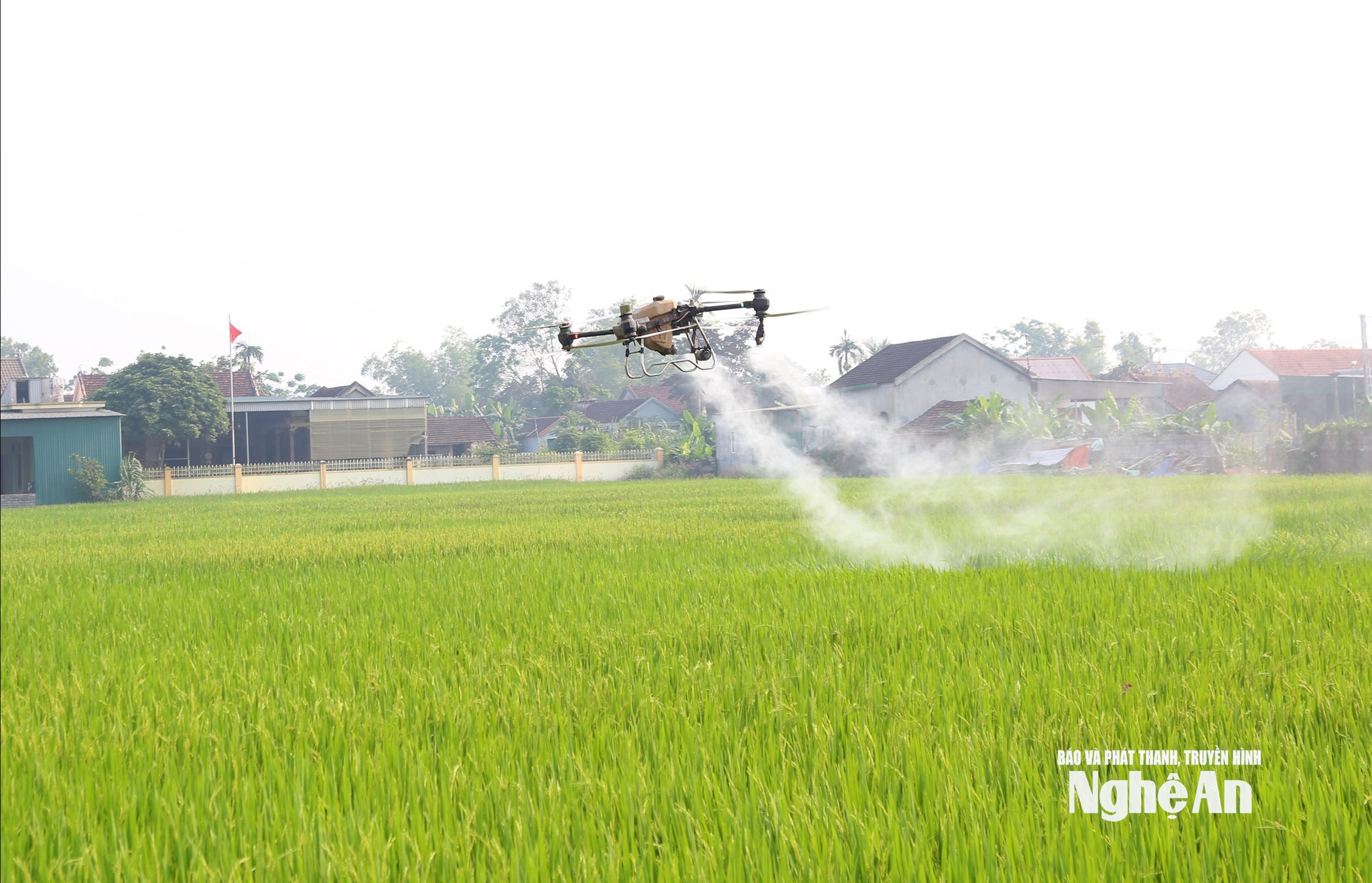 áp dụng thiết bị bay không người lái để phòng trừ sâu bệnh cho lúa đang được nhiều hợp tác xã trên địa bàn áp dụng. Ảnh XH