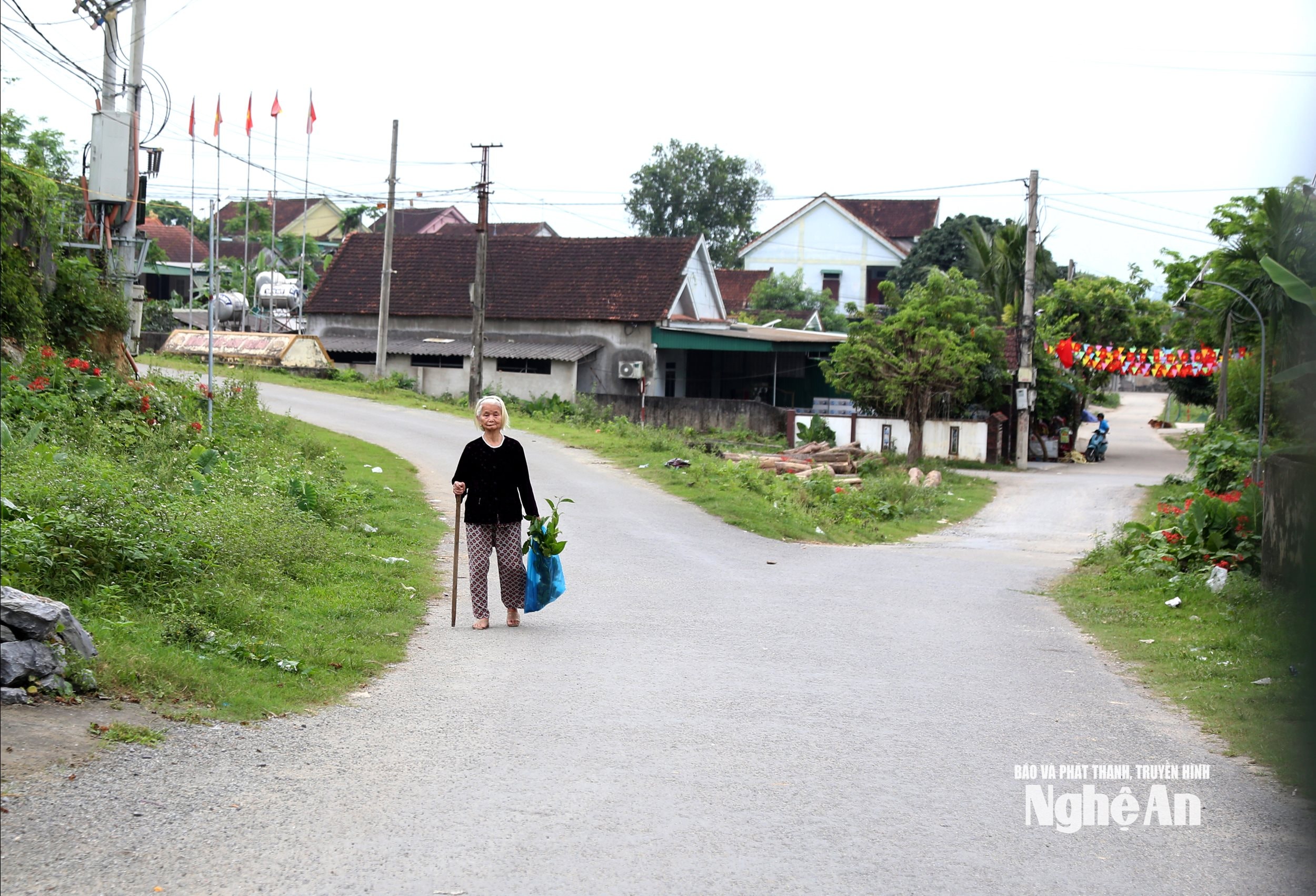 Đường làng vắng bóng người trẻ. Ảnh XH