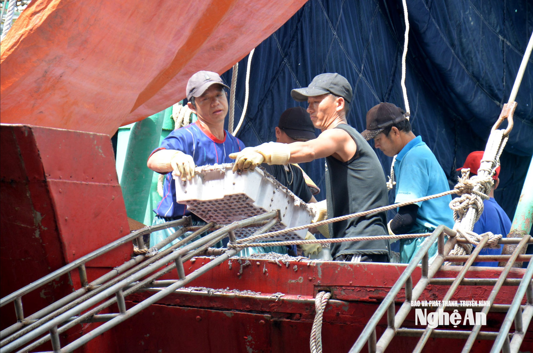 Nghề biển đang thiếu dần lực lượng lao động trẻ. Ảnh: Xuân Hoàng