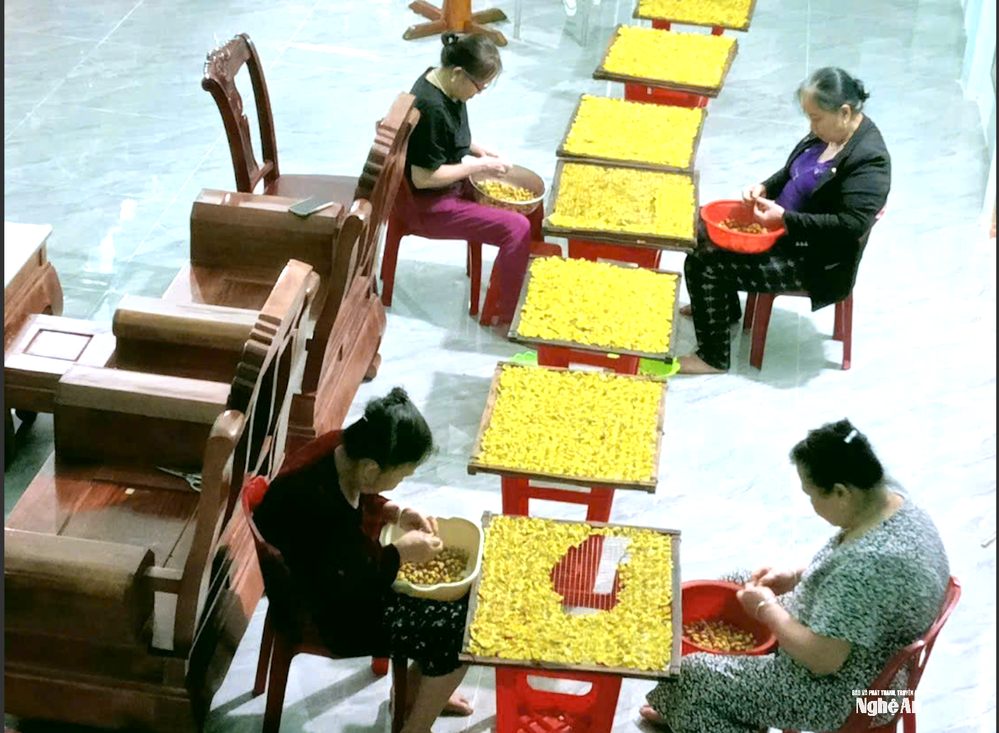 so-che-tra-hoa-vang-tai-htx-tra-hoa-vang-mac-nga.png