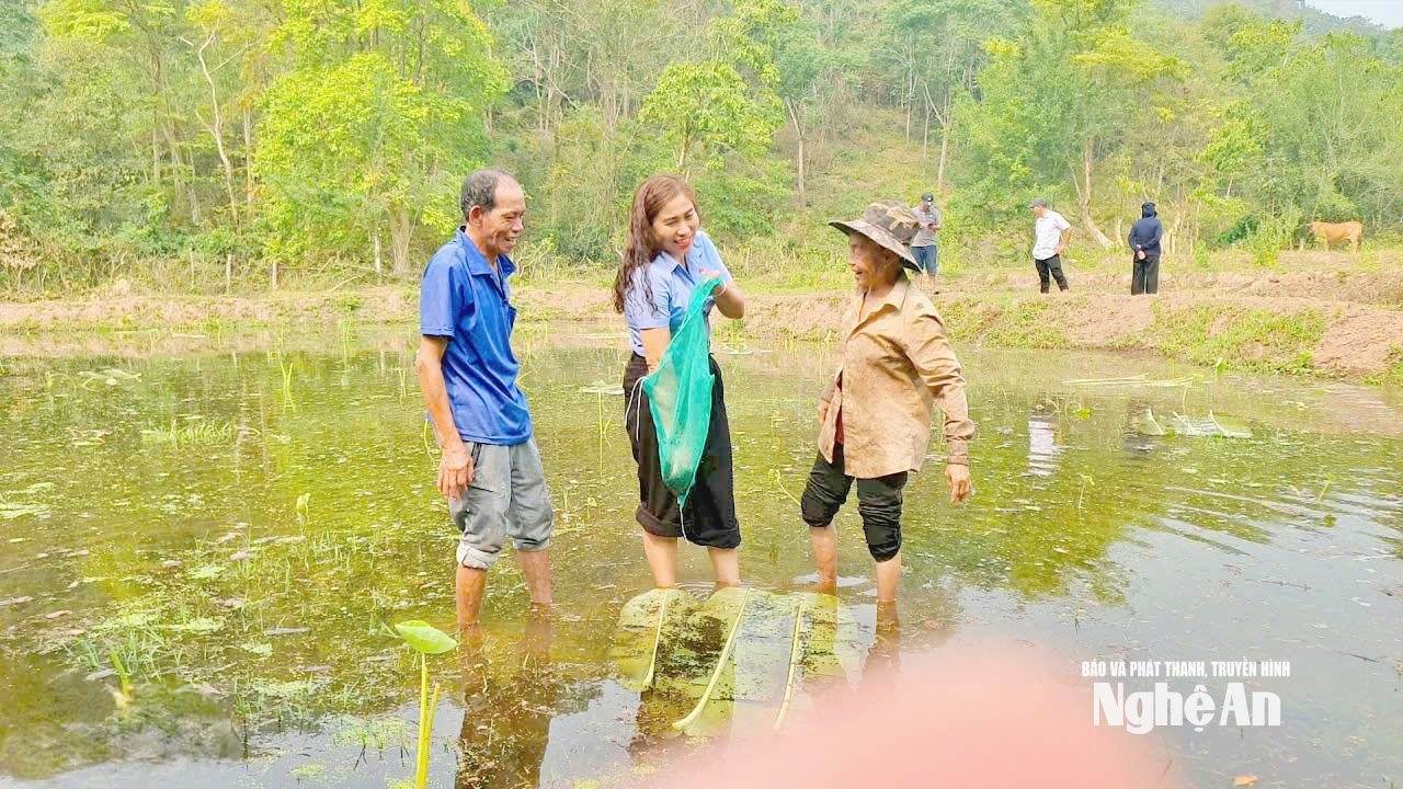nd tương dương